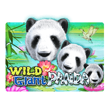 สล็อต Wild Giant Panda